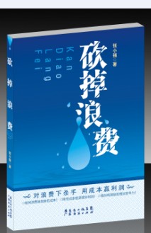 張小強:著作《砍掉浪費》